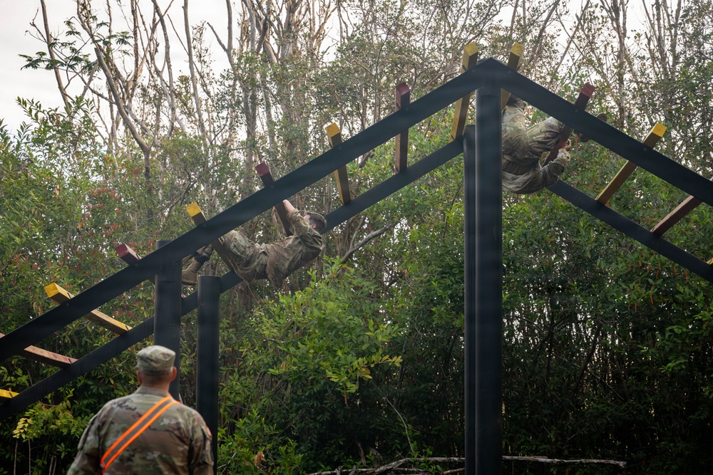 Hammerhead Officers Leaders Assessment