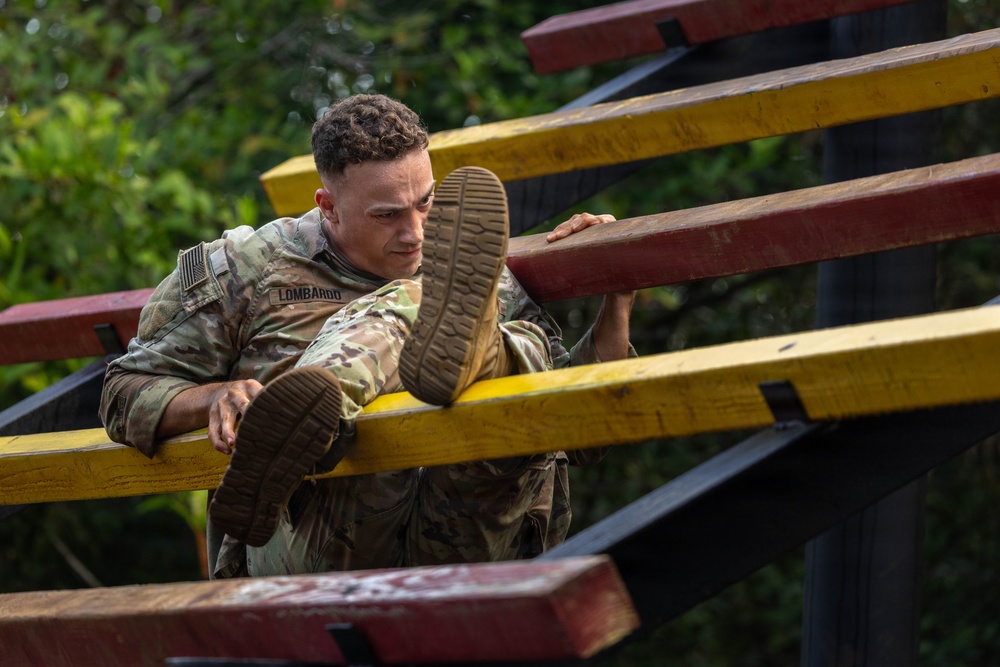 Hammerhead Officers Leaders Assessment