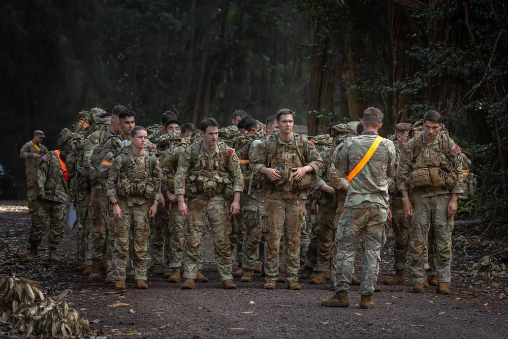 Hammerhead Officers Leaders Assessment