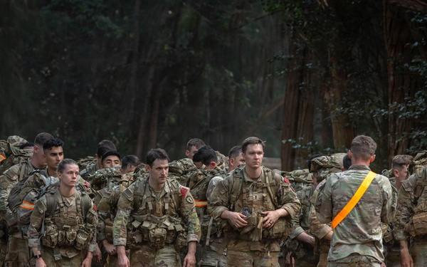 Hammerhead Officers Leaders Assessment