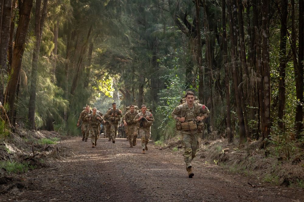 Hammerhead Officers Leaders Assessment