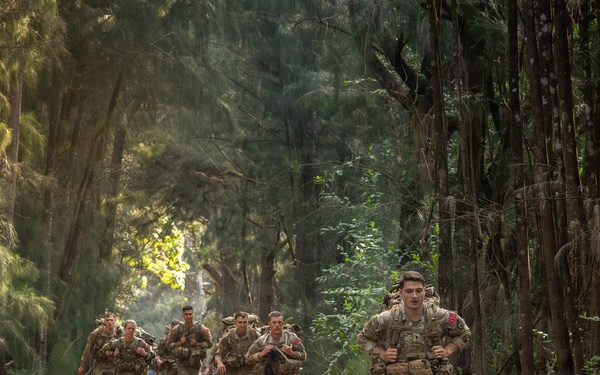 Hammerhead Officers Leaders Assessment