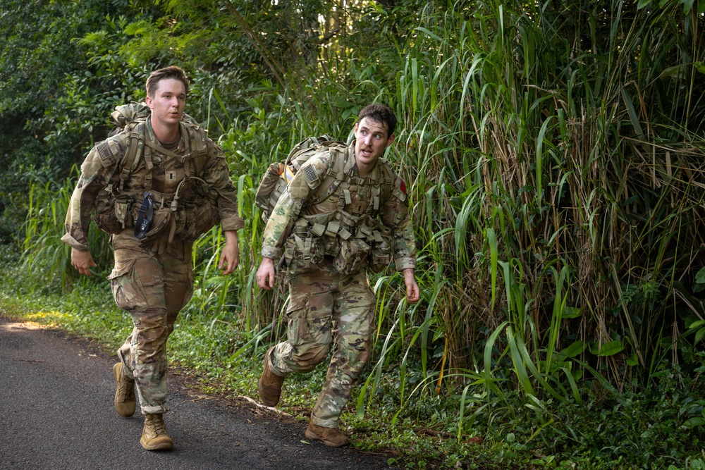 Hammerhead Officers Leaders Assessment