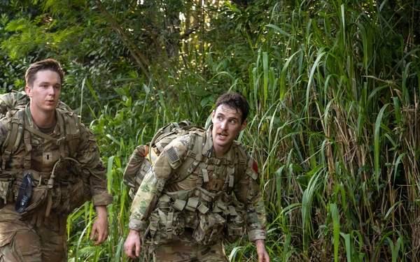 Hammerhead Officers Leaders Assessment