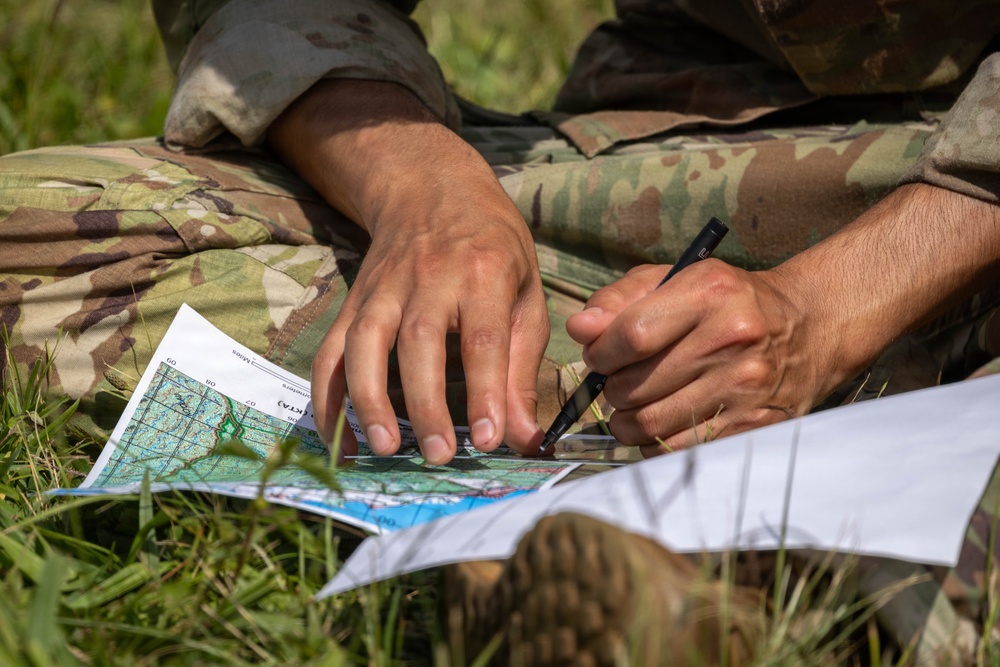 Hammerhead Officers Leaders Assessment