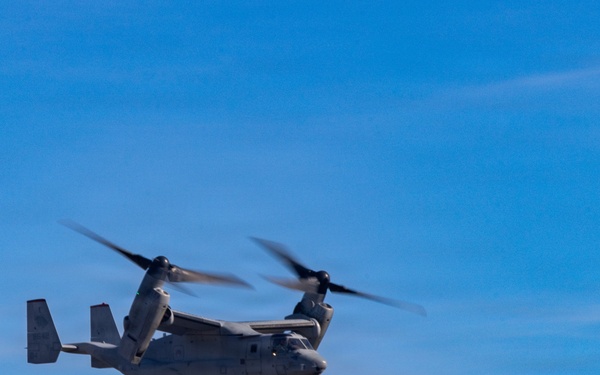 U.S. Marines with VMM-268 transport gear at RAAF Base Darwin