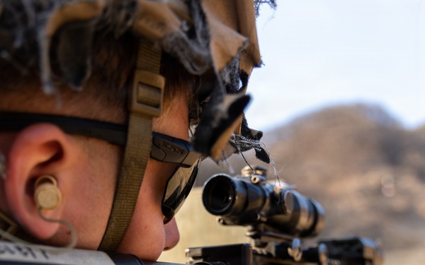 U.S. Marines with 3/12 Conduct Bilateral Live-Fire Range during KMEP 26.1