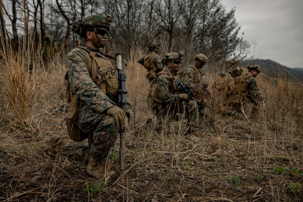 U.S. Marines Rehearse Dry Fire Platoon Attacks During KMEP 26.1