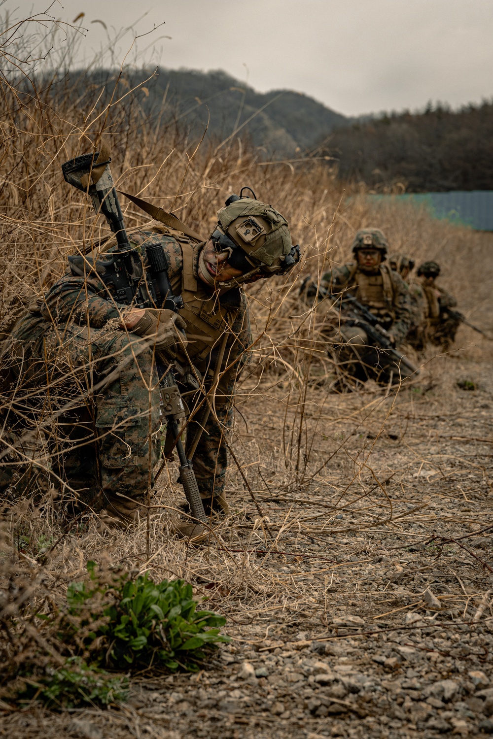 U.S. Marines Rehearse Dry Fire Platoon Attacks During KMEP 26.1