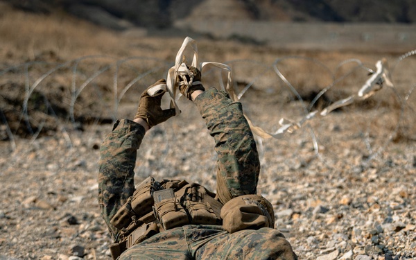 U.S. Marines Rehearse Live Fire Platoon Attacks During KMEP 26.1