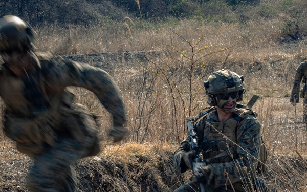 U.S. Marines Rehearse Live Fire Platoon Attacks During KMEP 26.1