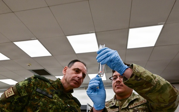 31st MXG partners with Bulgarian air force for readiness training