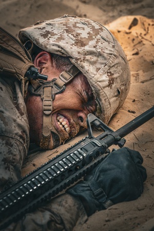 AFN Naples Radio News - 627th Movement Control Team 2025 Military Unit of the Year and Military Working Dogs Training