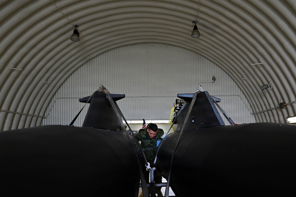 31st MXG partners with Bulgarian air force for readiness training