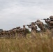 CLR-1 Marines participate in rifle qualification tables 3-6 range