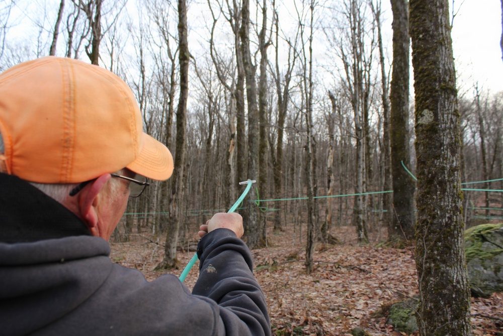 Twin Maple Sugarbush Operation