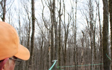 Twin Maple Sugarbush Operation