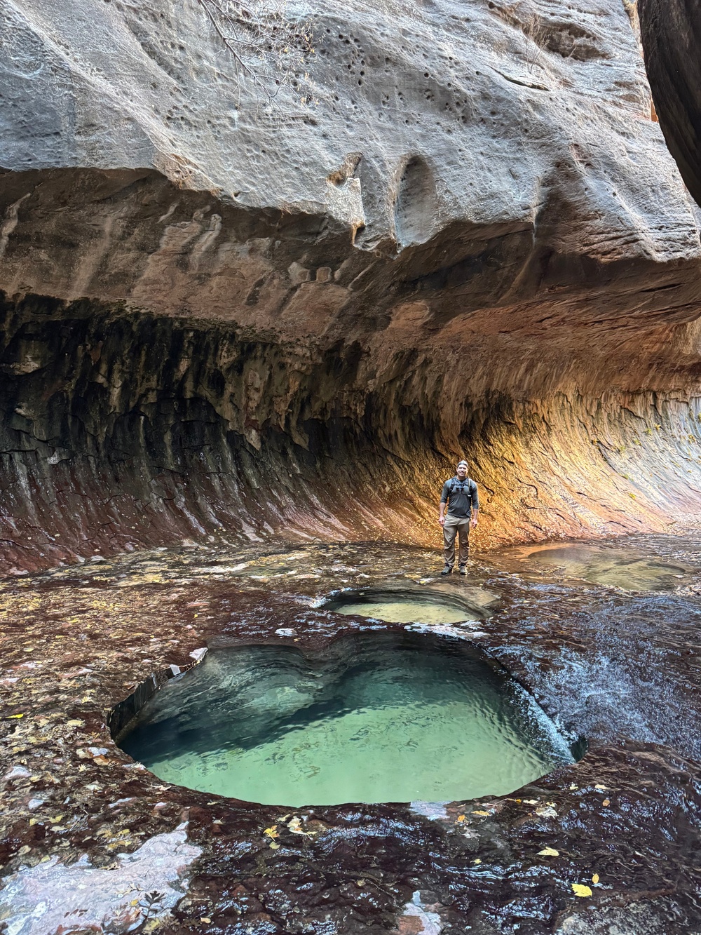 NMRTC Twentynine Palms officer named Navy Medicine’s Junior Radiologist of the Year