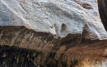 NMRTC Twentynine Palms officer named Navy Medicine’s Junior Radiologist of the Year