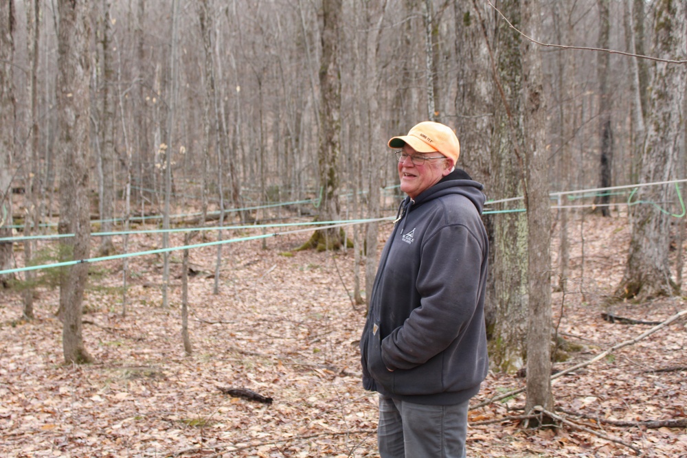 Twin Maple Sugarbush Operation