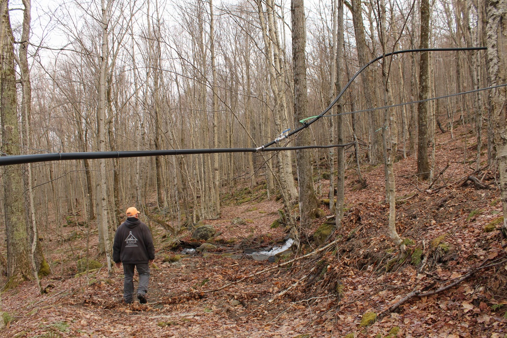 Twin Maple Sugarbush Operation