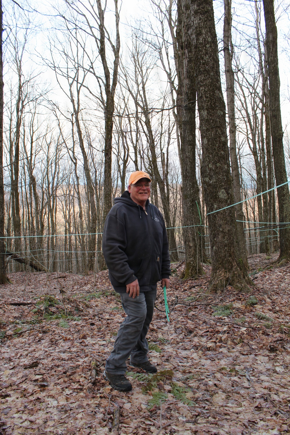 Twin Maple Sugarbush Operation