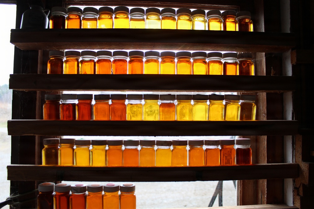 Twin Maple Sugarbush Operation