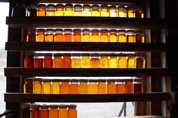 Twin Maple Sugarbush Operation