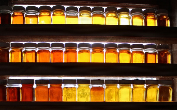 Twin Maple Sugarbush Operation