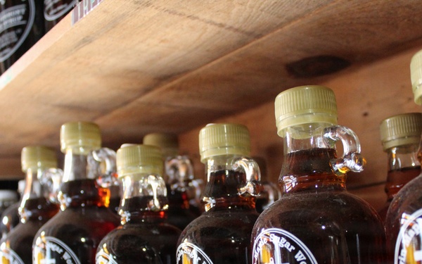 Twin Maple Sugarbush Operation