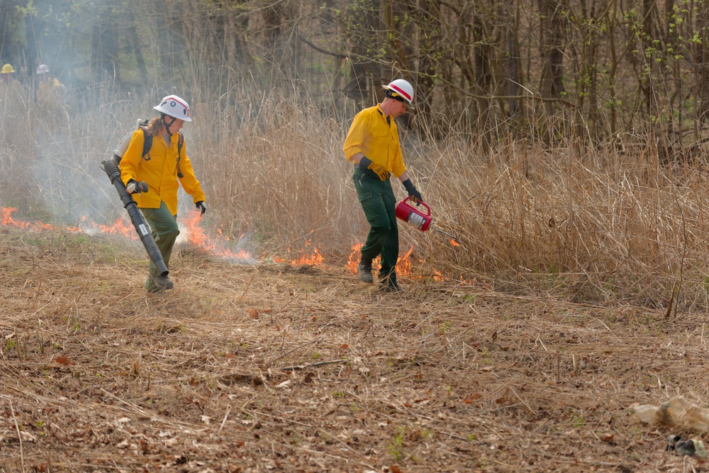 USACE prescribes ‘good fire’ to spark landscape renewal