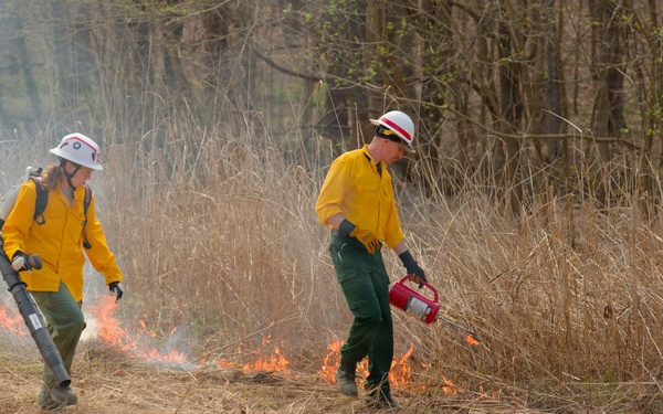USACE prescribes ‘good fire’ to spark landscape renewal