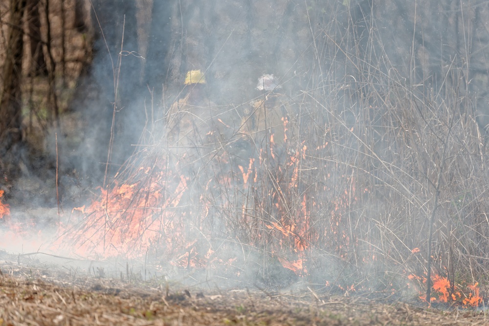 USACE prescribes ‘good fire’ to spark landscape renewal
