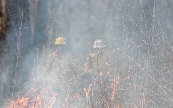 USACE prescribes ‘good fire’ to spark landscape renewal