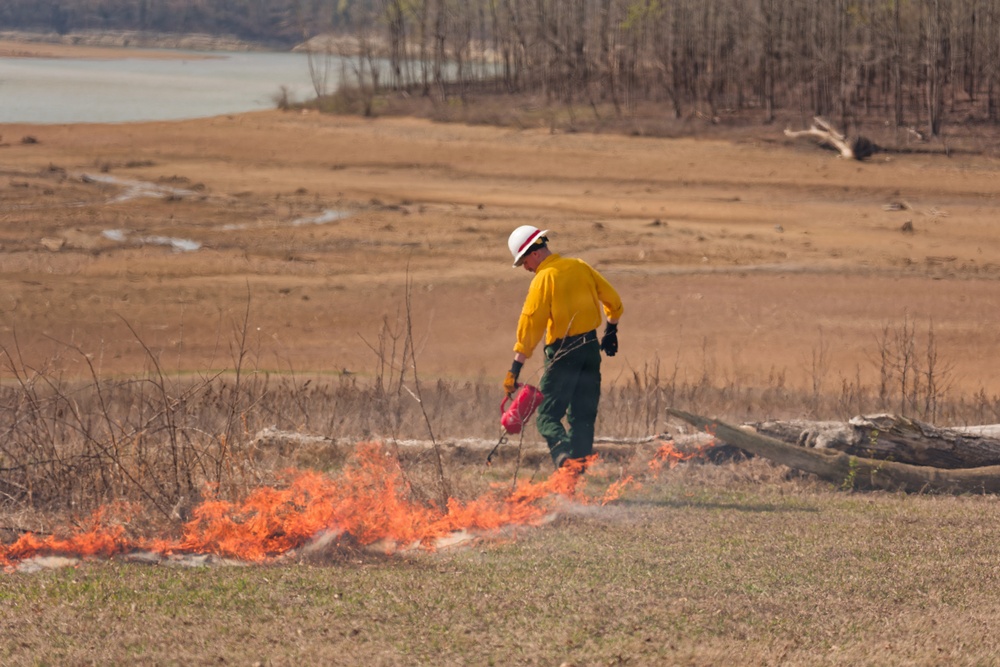 USACE prescribes ‘good fire’ to spark landscape renewal
