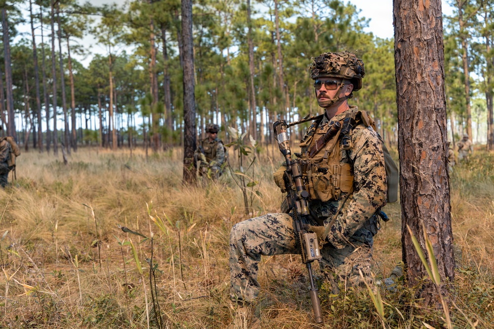 24th MEU: V32 Dry Fire