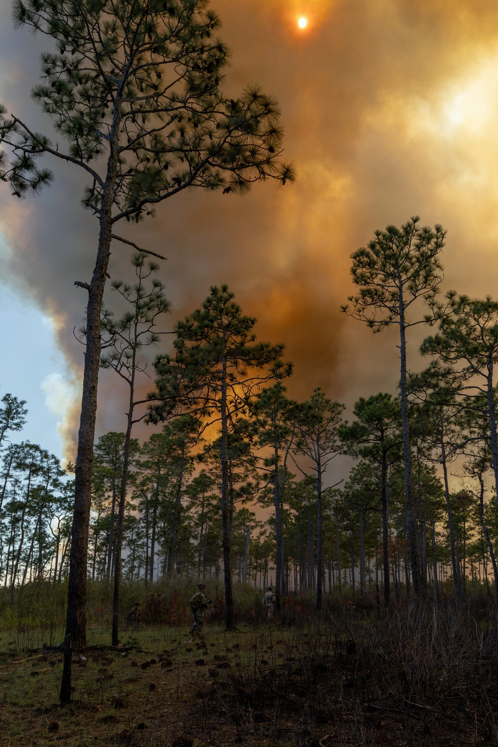 24th MEU: V32 Dry Fire