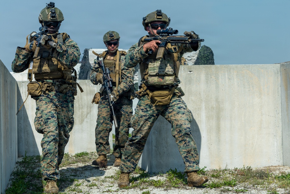 24th MEU: V32 Dry Fire