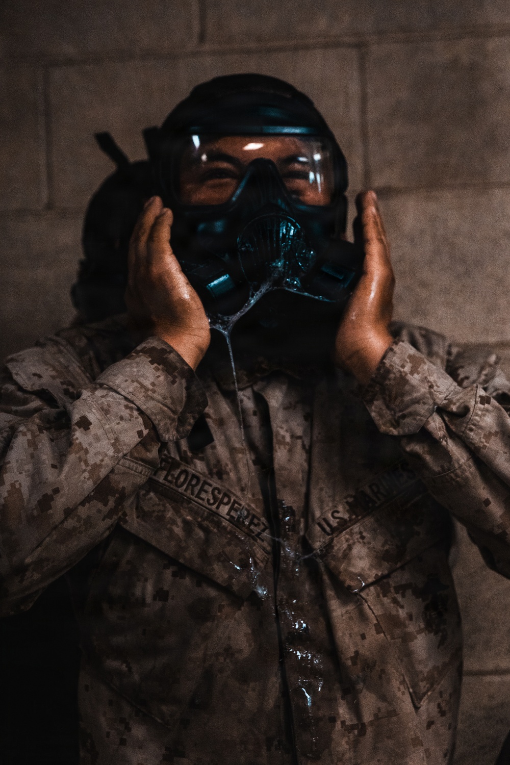 Fox Company Gas Chamber