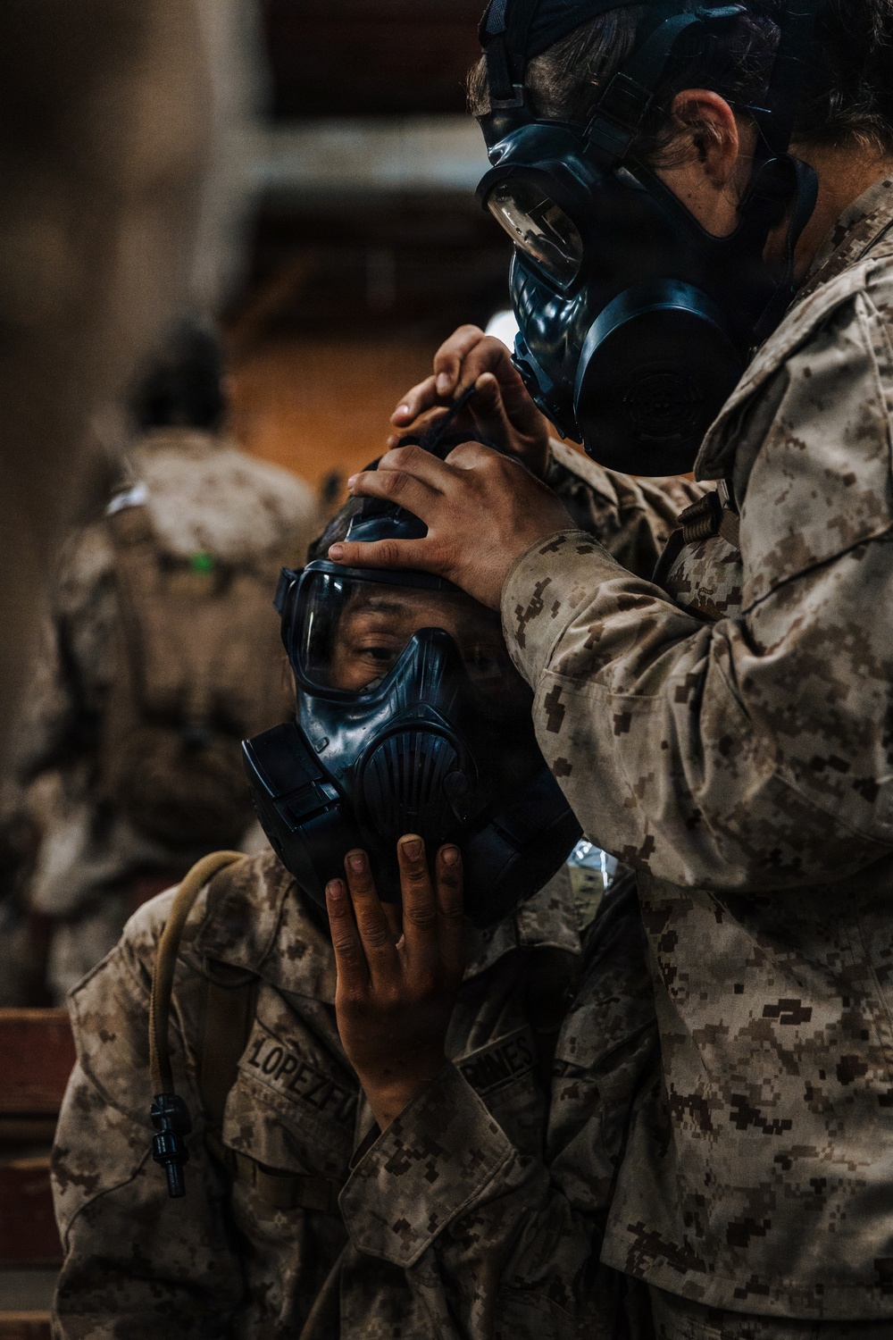 Fox Company Gas Chamber