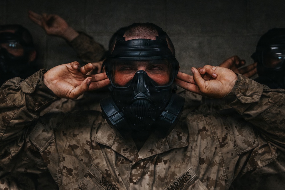 Fox Company Gas Chamber