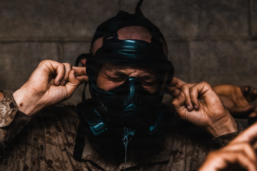 Fox Company Gas Chamber