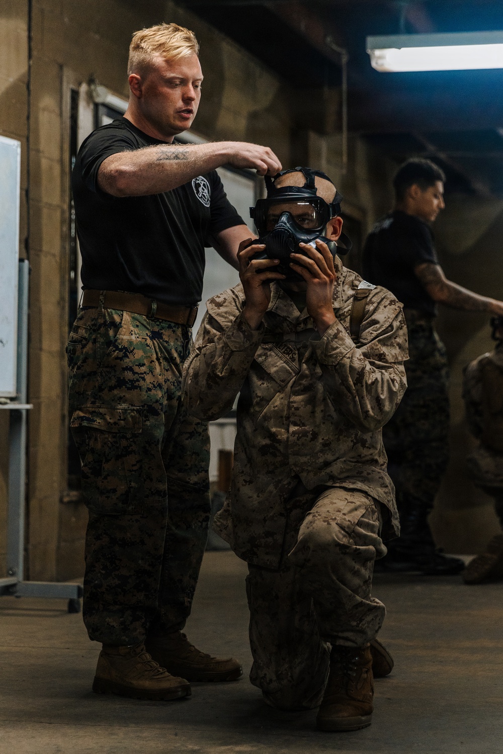 Fox Company Gas Chamber