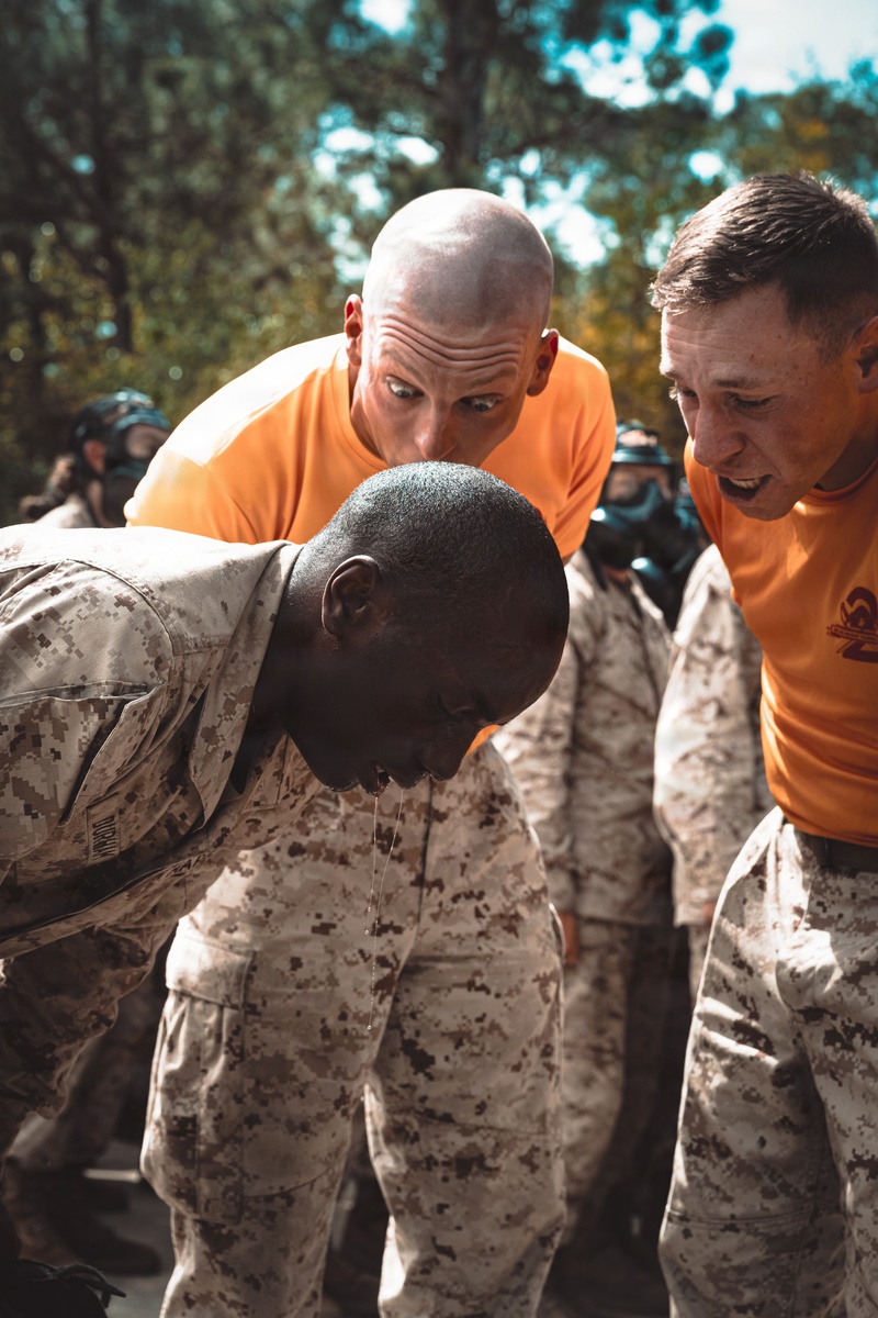 Fox Company Gas Chamber