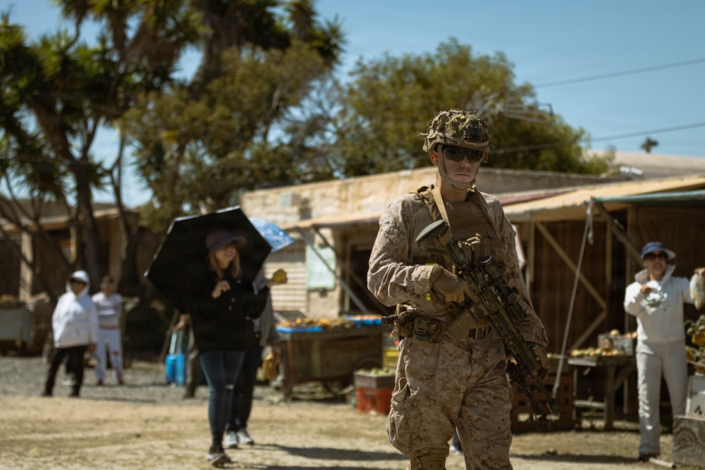 13th MEU | Infantry Immersion Trainer