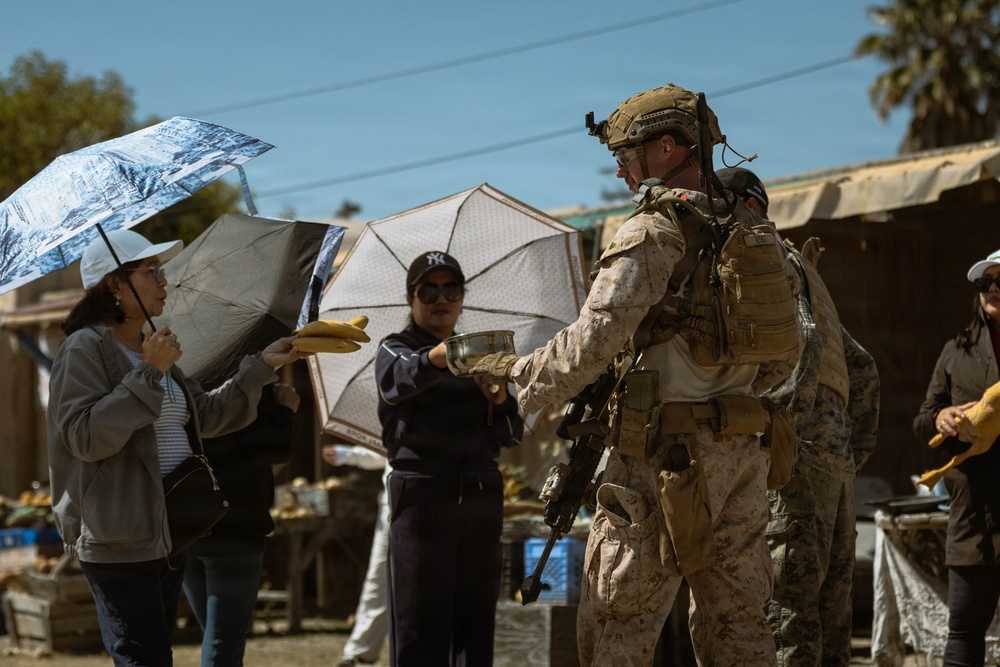 13th MEU | Infantry Immersion Trainer
