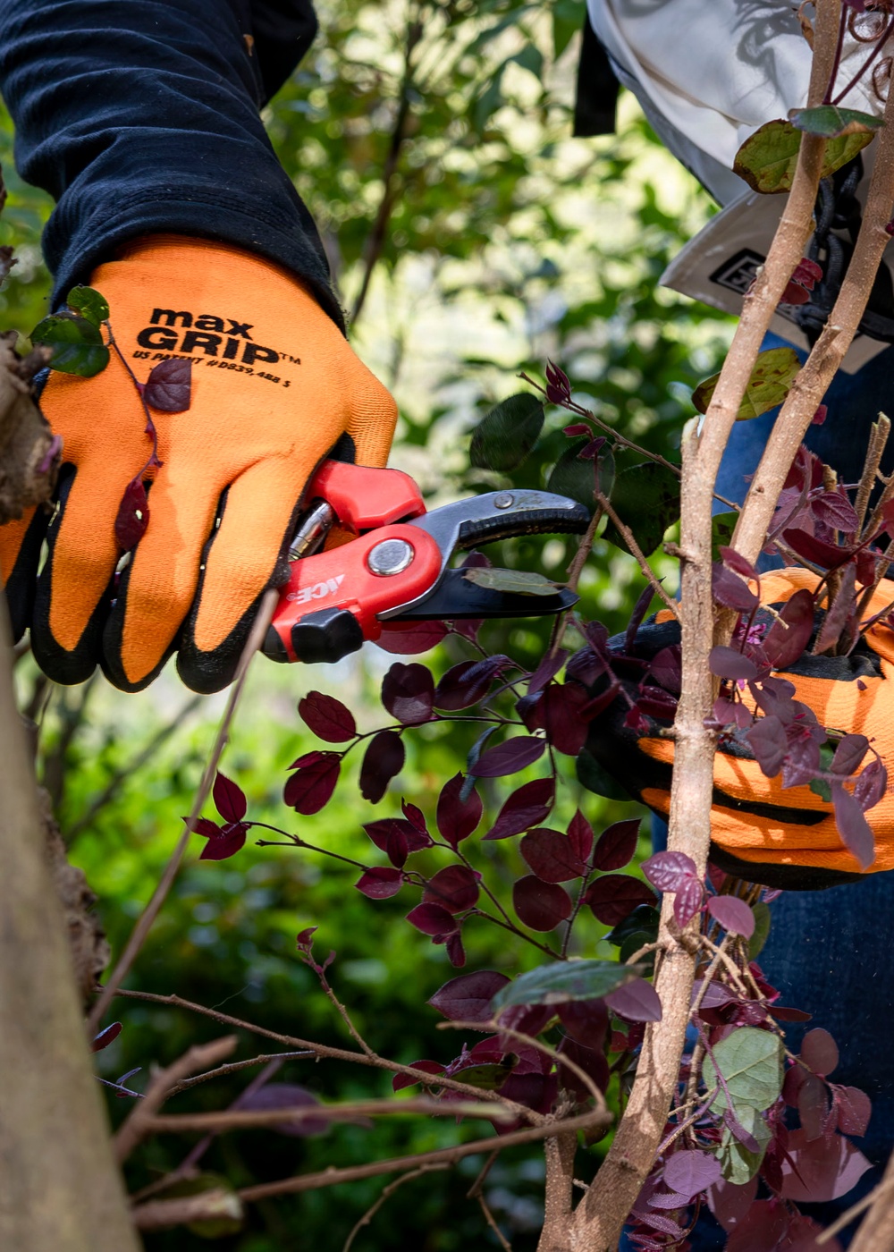 Serving the Community, Caring for the Earth: F-22 Demo Team Volunteers at Sandy Bottom Nature Park