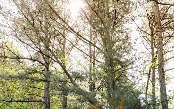 Serving the Community, Caring for the Earth: F-22 Demo Team Volunteers at Sandy Bottom Nature Park