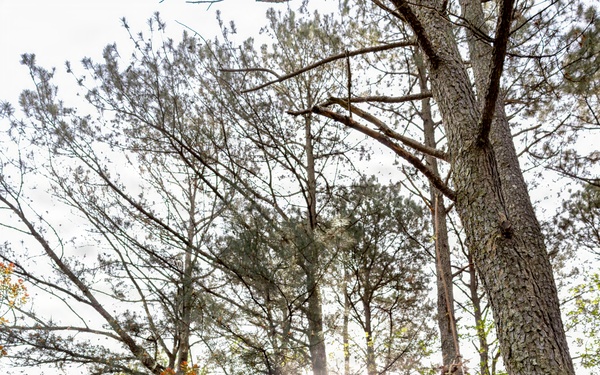 Serving the Community, Caring for the Earth: F-22 Demo Team Volunteers at Sandy Bottom Nature Park
