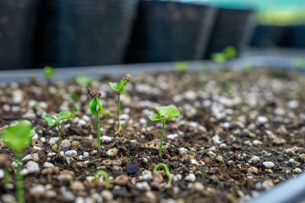 Camp Blaz Nursery Visit